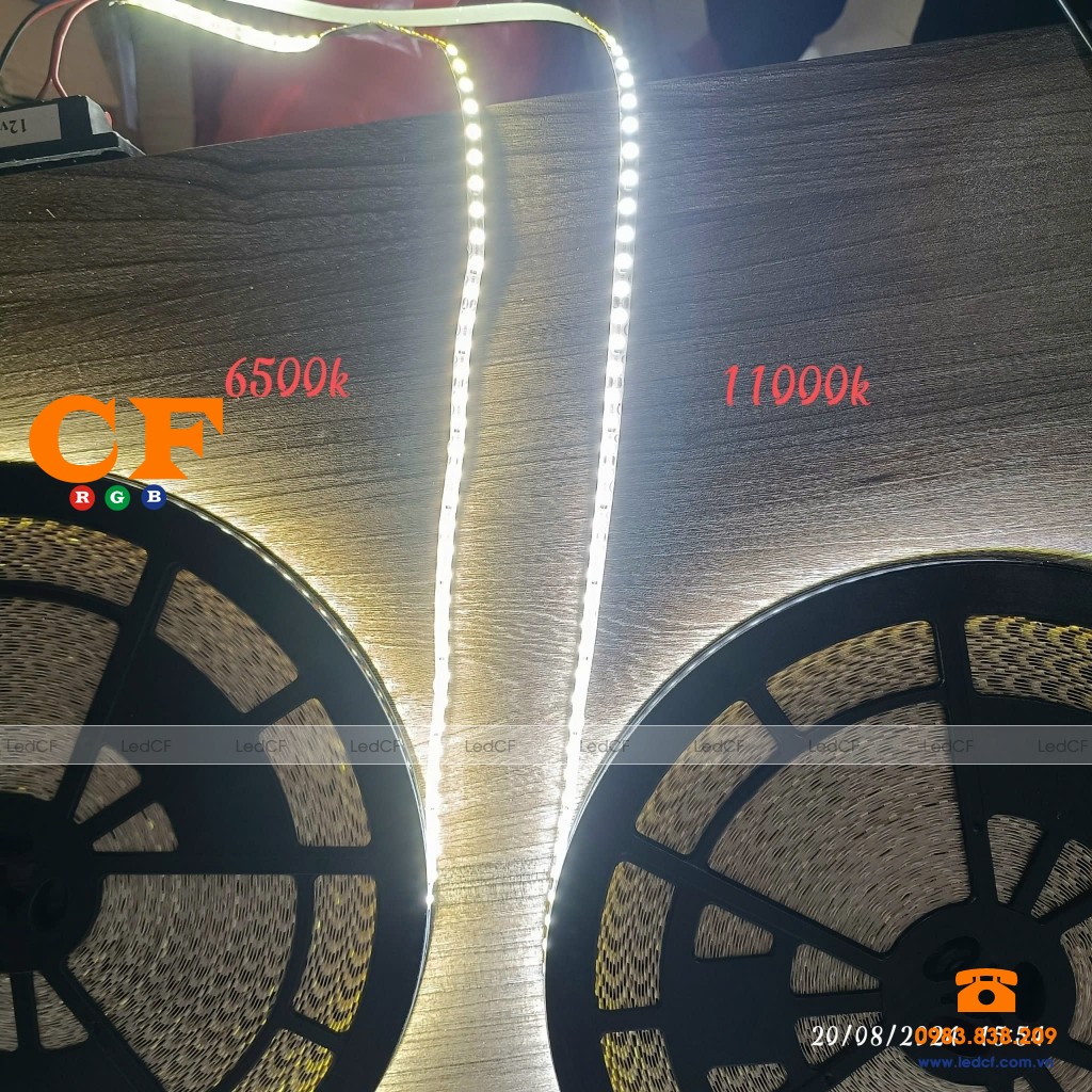 Led ziczac cuộn 50m Phủ Keo hãng LED HFY chính hãng tại Việt Nam